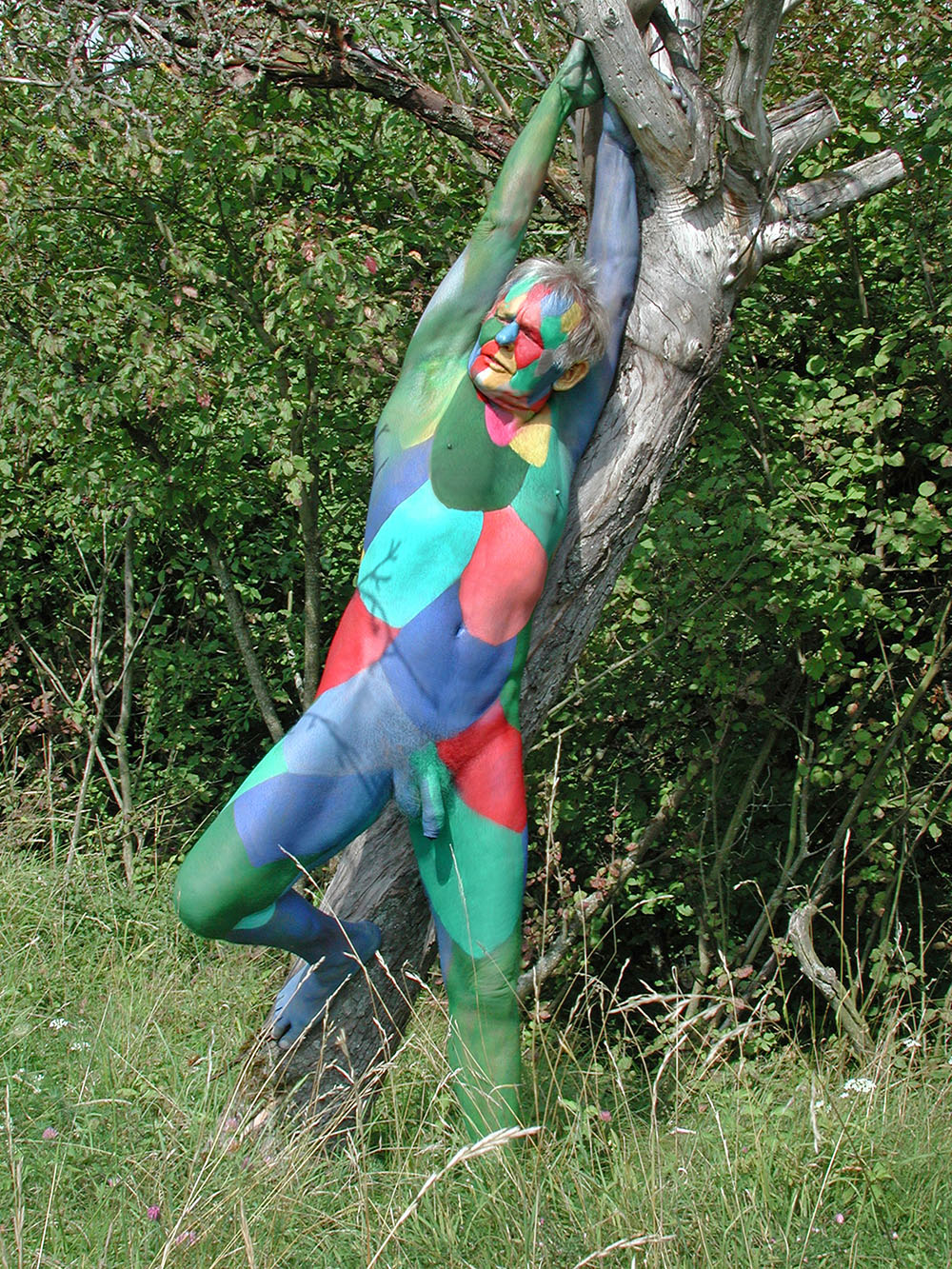FKK - Bemalter Mann, nackt und frei in der Natur - Bodypainting, Körperbemalung, Körpermalerei